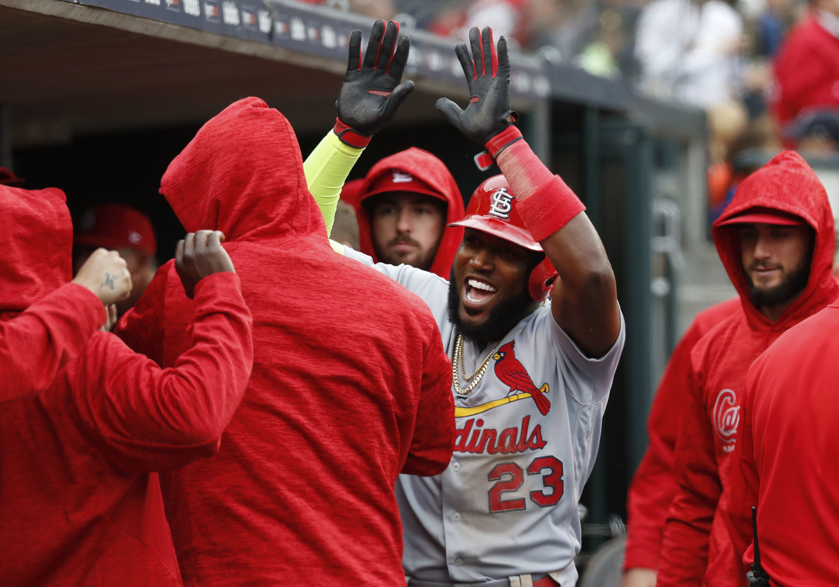 Cardinals Tigers Baseball